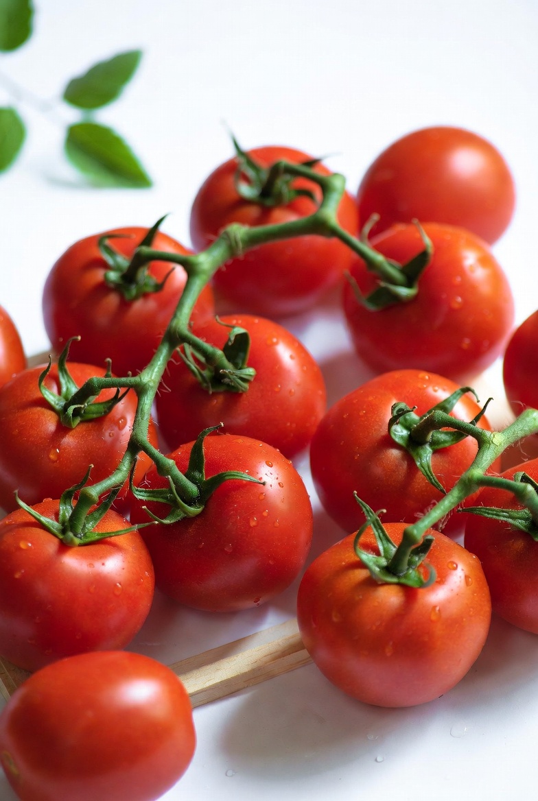Vine-ripened tomatoes