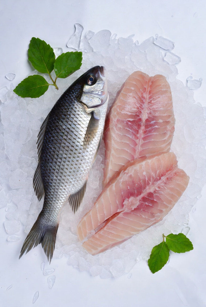 Fresh tilapia fish